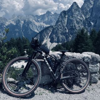 Profile photo for Dionne Currie