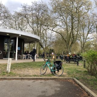 Profile photo for Laura Shelton