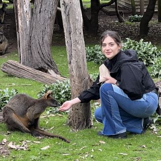 Profile photo for Far Ab