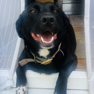 Profile photo for Michelle Duquemin