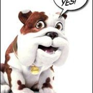 Profile photo for Steve Shepherd