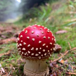 Profile photo for Lina Gan