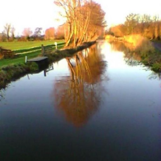 Profile photo for Philip Brenan