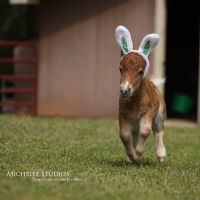 Profile photo for Alex Gipps