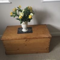 Profile photo for Flavia Bracamonte