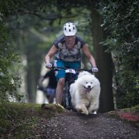 Profile photo for Tammie McNeill