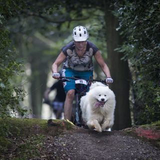 Profile photo for Tammie McNeill