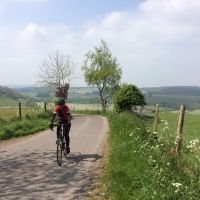 Profile photo for Lois Reed