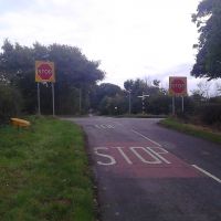 Profile photo for Richard McCurry