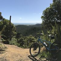 Profile photo for Alison Bevan