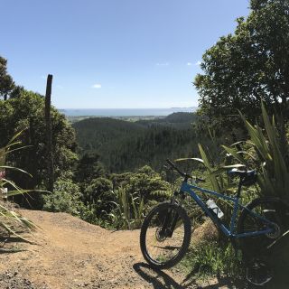 Profile photo for Alison Bevan