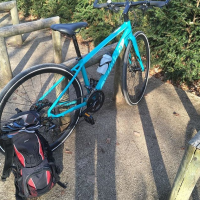 Profile photo for Chris Rickard