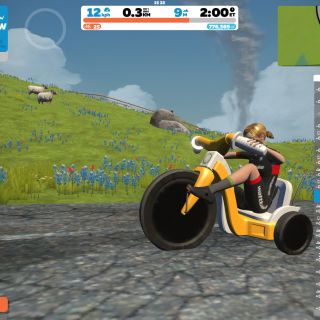 Profile photo for Lynne O'Rourke