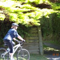 Profile photo for Sylvia Briggs