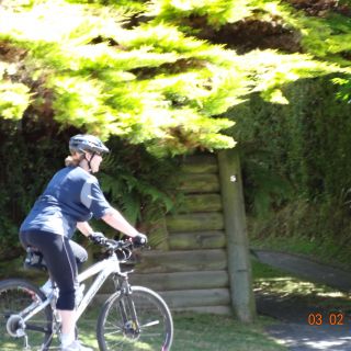 Profile photo for Sylvia Briggs