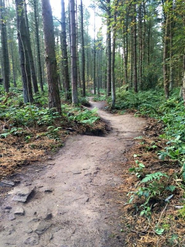 Let s Ride Lady Cannings MTB Trail
