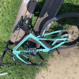 Profile photo for Laura  Nichol