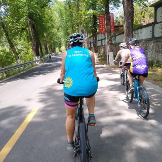 Profile photo for Dawn Lee