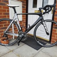 Profile photo for Shaun Mansbridge