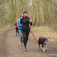 Profile photo for Alison Barlow