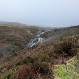 Profile photo for Dneeze Wakefeeldt