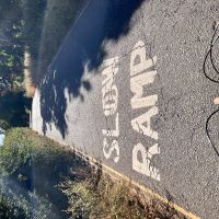 Profile photo for Sam K