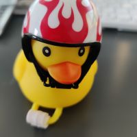 Profile photo for Jo Holton