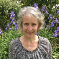 Profile photo for Sal Chaffey