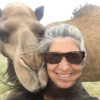 Profile photo for Romy Shovelton