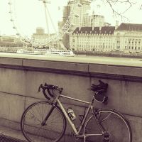 Profile photo for Steve  Pang