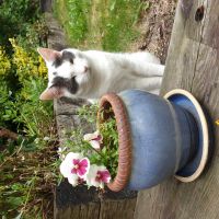 Profile photo for Lenka Habsudova