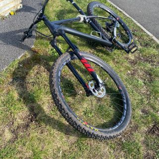 Profile photo for TD Genovea