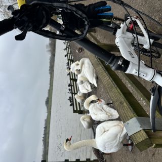 Profile photo for Chin Chong