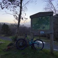 Profile photo for Angela  Friar 