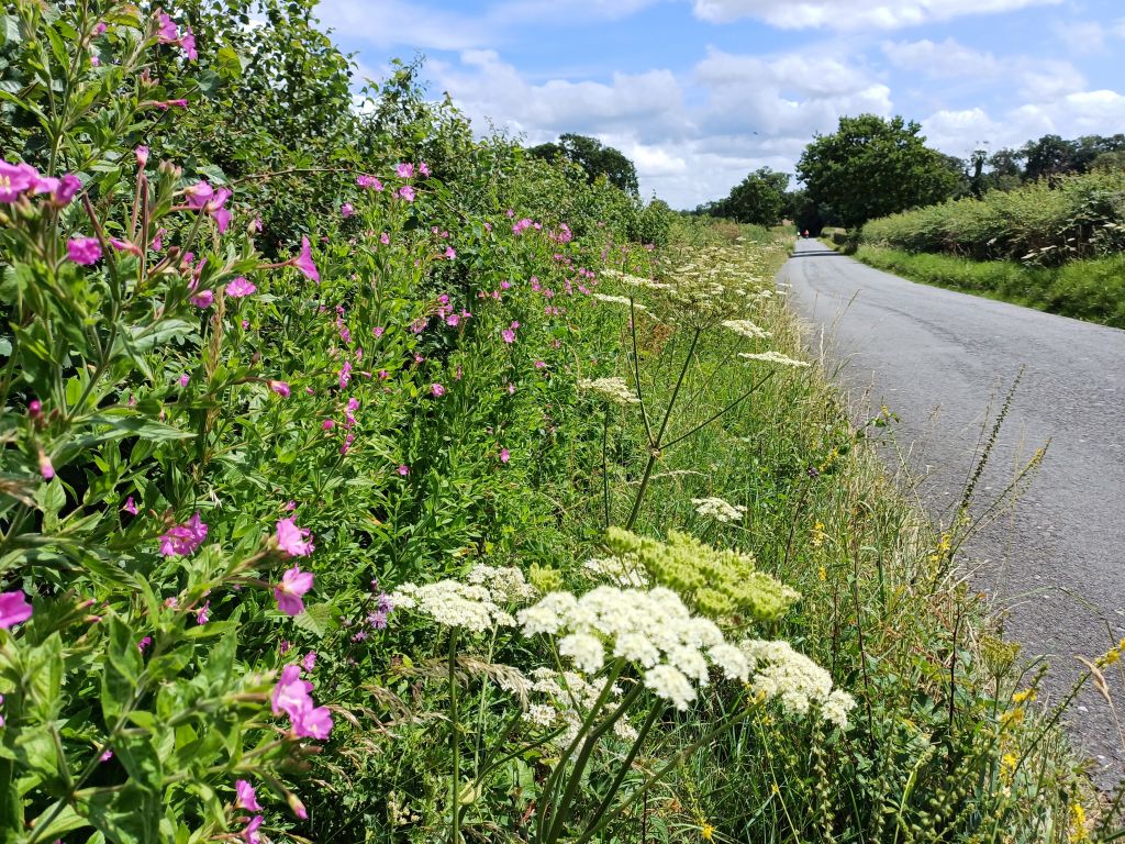 Let's Ride - FBC to Riseley Tea rooms