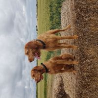 Profile photo for Catherine Walker