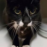 Profile photo for Kevin Paterson