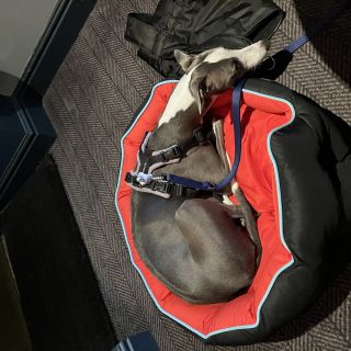 Profile photo for 1 Michelle  Mackay