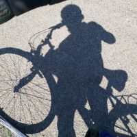 Profile photo for Joyce McGinley