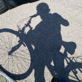 Profile photo for Joyce McGinley