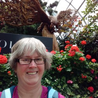 Profile photo for Sarah Stott