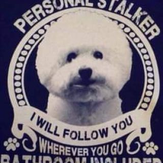 Profile photo for Donna O'Toole