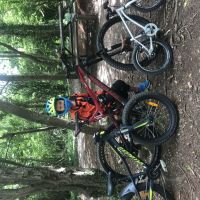 Profile photo for Ben Perry