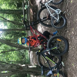 Profile photo for Ben Perry