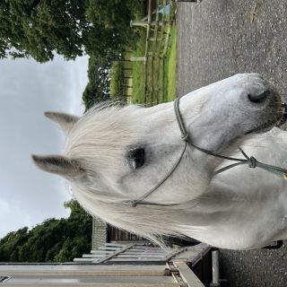 Profile photo for Polly Fraser