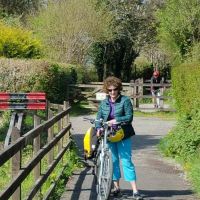 Profile photo for Sue  Lockley