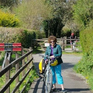 Profile photo for Sue  Lockley