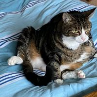 Profile photo for Dawn Estabrook