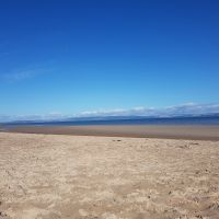 Profile photo for Carol Craig