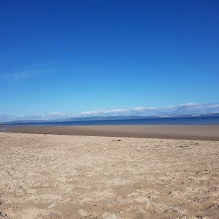 Profile photo for Carol Craig